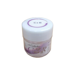Noritake (Норитаки) CZR Дентин C4B (10 г)