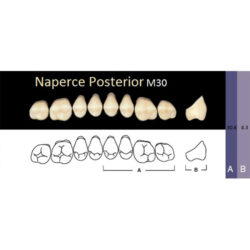 Гарнитур акриловых боковых зубов A3, M30U Naperce Posterior (8 шт)