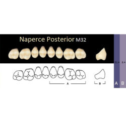 Гарнитур акриловых боковых зубов A2, M32U Naperce Posterior (8 шт)