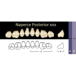 Гарнитур акриловых боковых зубов A3.5, M33U Naperce Posterior (8 шт)