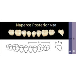 Гарнитур акриловых боковых зубов A3, M30L Naperce Posterior (8 шт)